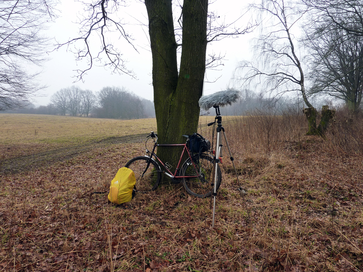 04_Schaalsee_Riek